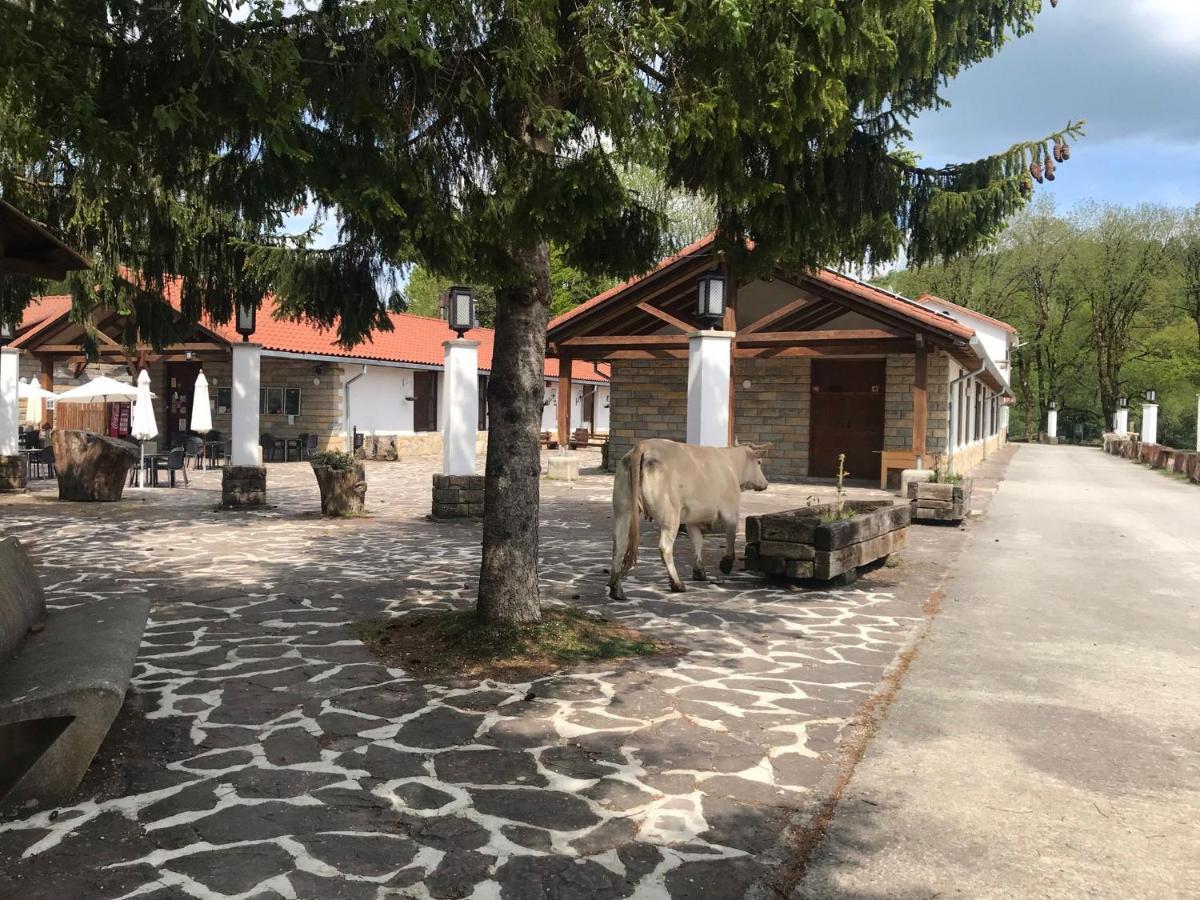 Kampaoh Sierra De Urbasa Luxuszelt