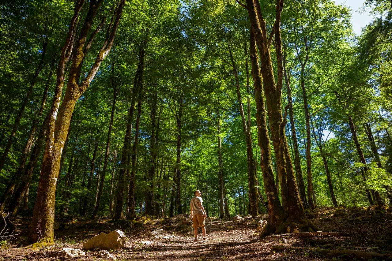 Luxuszelt Kampaoh Sierra De Urbasa *